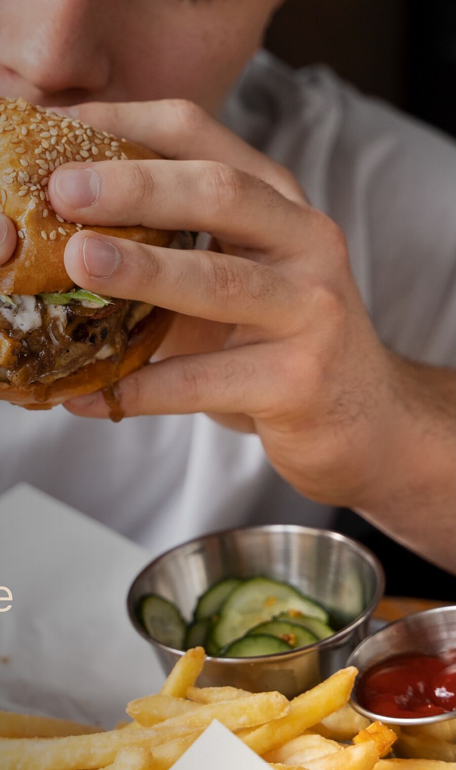 Alimentação desregulada com hambúrguer e fritas